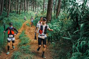 BIB: 
                            <button type="button" onclick="openModal(25664082)" class="btn btn-primary btn-sm float-right btn-popup" data-toggle="modal" data-target=".modal-high-quality">
                        <i class="fas fa-shopping-cart"></i> Add to Cart
                    </button>
                                            <button type="button" onclick="isThisMe(25664082, true)" class="btn btn-success btn-sm float-right btn-popup btn-isme hidden" data-toggle="tooltip" data-placement="bottom" title="นี่คือรูปของคุณใช่ไหม คลิกที่นี่เพื่อเอาเข้าอัลบั้ม">
                        <i class="fas fa-plus"></i> Add to album
                    </button>
                    <button type="button" onclick="isThisMe(25664082, false)" class="btn btn-warning btn-sm float-right btn-popup btn-isnotme hidden">
                        <i class="fas fa-ban"></i> Remove from album
                    </button>